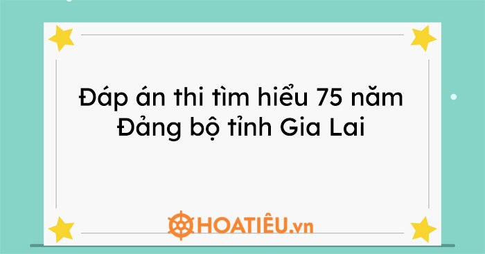 P N Thi T M Hi U N M Ng B T Nh Gia Lai Tu N Hoatieu Vn