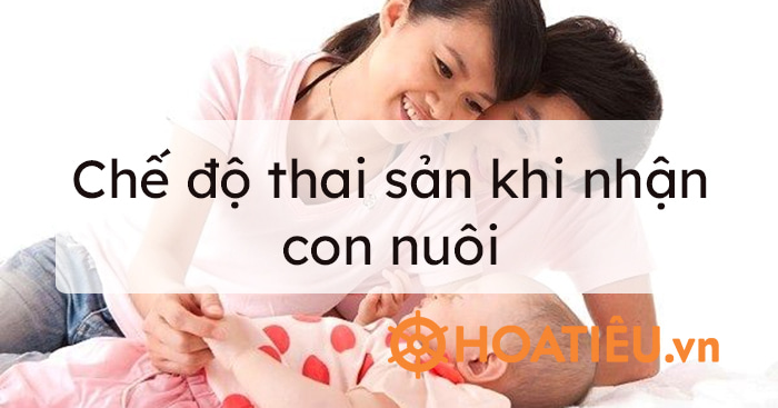 Ch Thai S N Khi Nh N Con Nu I Hoatieu Vn