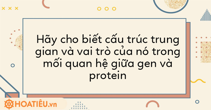 Hãy cho biết cấu trúc trung gian và vai trò của nó trong mối quan hệ