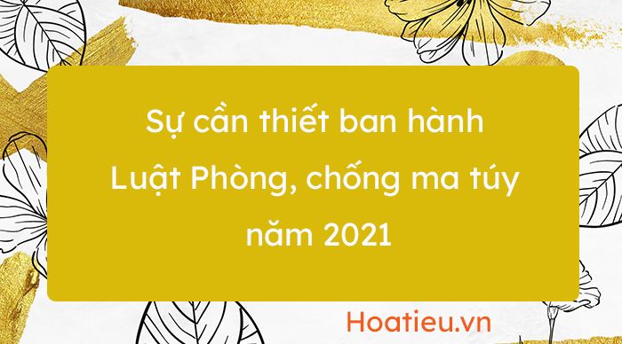 Sự cần thiết ban hành Luật Phòng chống ma túy năm 2021 HoaTieu vn