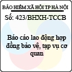 Công văn 423/BHXH-TCCB