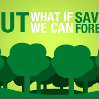 Quyết định 44/2016/QĐ-TTg về lực lượng bảo vệ rừng chuyên trách của chủ rừng