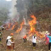 Mẫu phương án phòng cháy chữa cháy rừng
