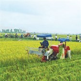 Nghị định 52/2018/NĐ-CP Phát triển ngành nghề nông thôn