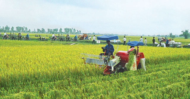 Nghị định 52/2018/NĐ-CP về phát triển ngành nghề nông thôn