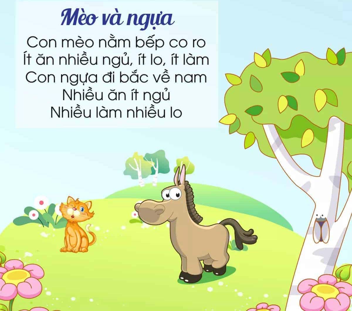 Mèo và ngựa