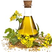 Thông tư 16/2019/TT-BYT về Quy chuẩn kỹ thuật đối với vitamin A để bổ sung vào dầu thực vật