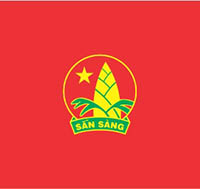 Câu hỏi trắc nghiệm về Đội có đáp án 2023