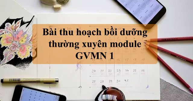 Bài thu hoạch bồi dưỡng thường xuyên module GVMN 1 - HoaTieu.vn