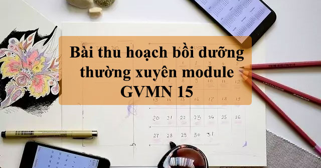 Bài thu hoạch bồi dưỡng thường xuyên module GVMN 15 ( https://hoatieu.vn › bai-thu-hoach-bo... ) 