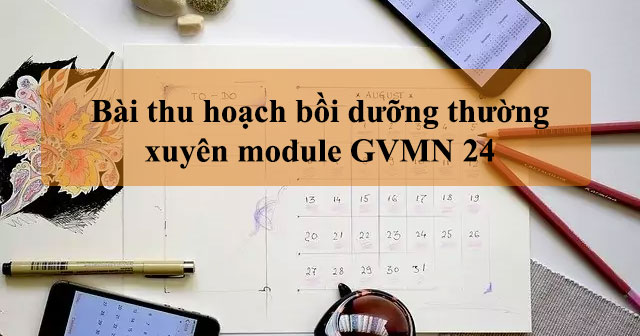 Bài thu hoạch bồi dưỡng thường xuyên module GVMN 24 - HoaTieu.vn