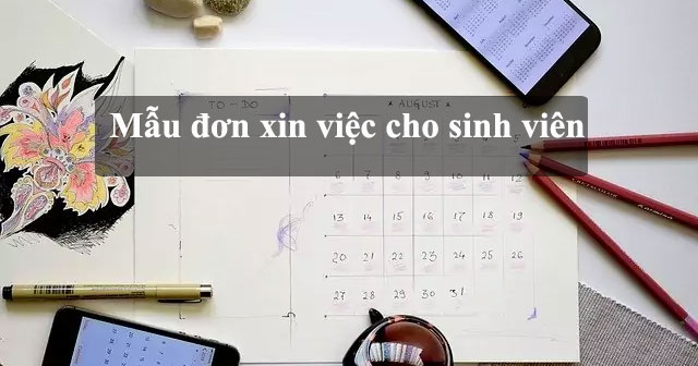 Cách viết đơn xin việc dành cho sinh viên - Hoatieu.vn