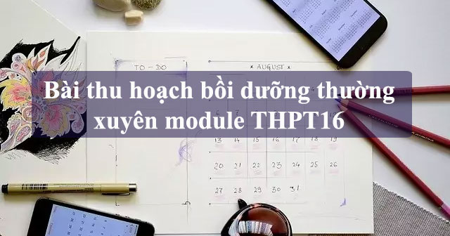 Bài thu hoạch bồi dưỡng thường xuyên module THPT16 - HoaTieu.vn