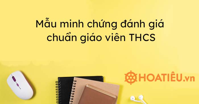 Thống kê minh chứng chuẩn giáo viên THCS 2022 - HoaTieu.vn