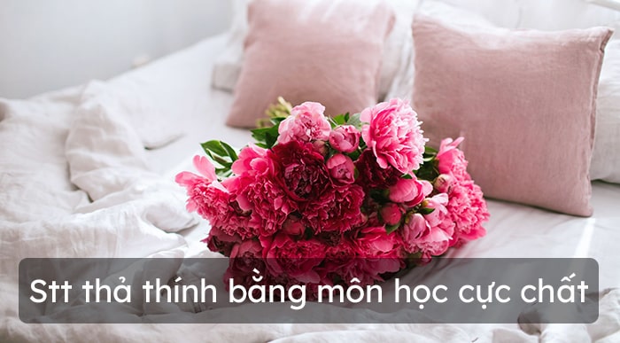 Stt thả thính bằng môn học cực chất - Hoatieu.vn