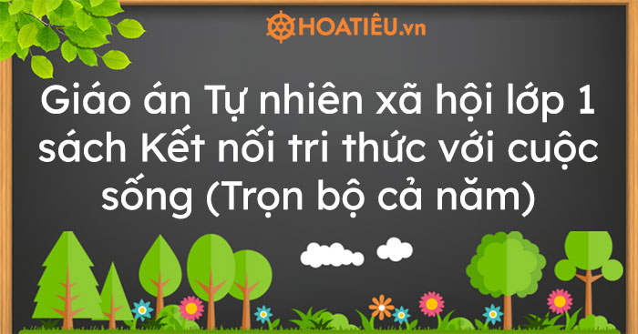 Giáo án Tự nhiên xã hội lớp 1 sách Kết nối tri thức với cuộc sống (Trọn ...