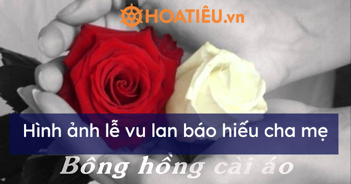 Hình Ảnh Lễ Vu Lan Báo Hiếu Cha Mẹ 2023 - Hình Ảnh Vu Lan Mùa Hiếu Hạnh