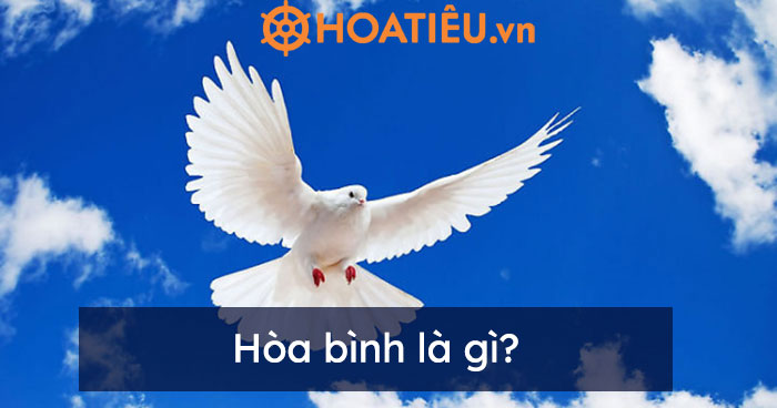 Hòa bình là gì và tại sao biểu hiện của nó lại quan trọng?
