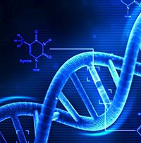 Thông tư 10/2020/TT-BTNMT báo cáo tiếp cận nguồn gen