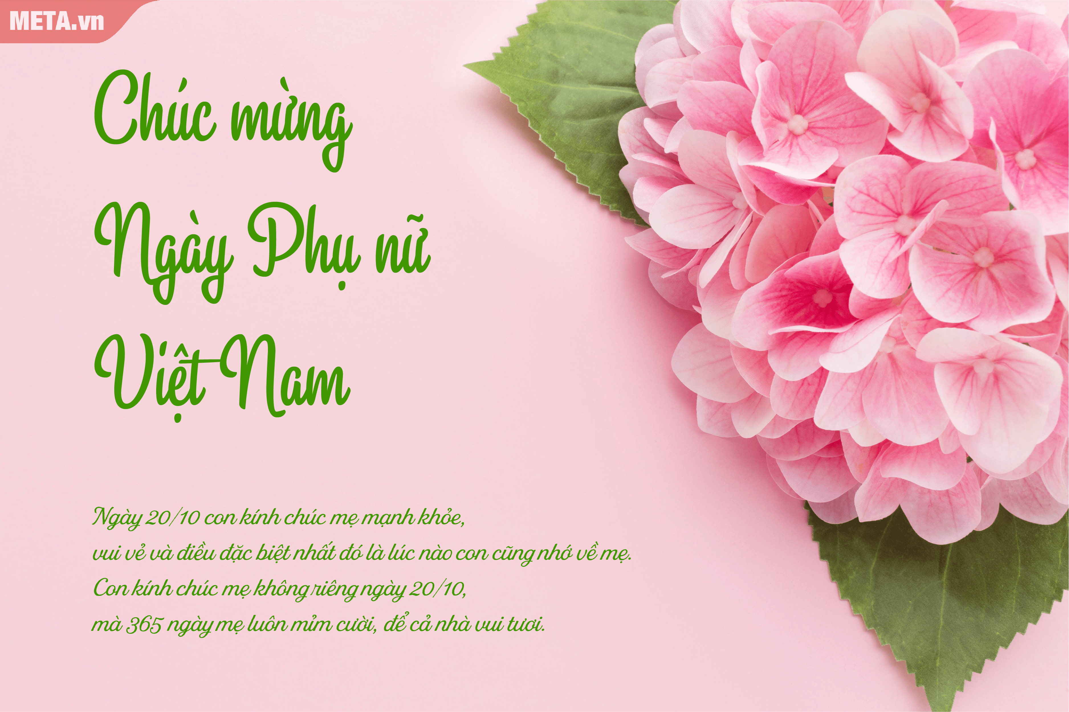 HoaTieu.vn là trang web chuyên cung cấp các dịch vụ hoa tươi và quà tặng độc đáo. Hình ảnh về hoa tươi tại HoaTieu.vn đang chờ đón bạn. Hãy đến và xem ngay để trải nghiệm cảm giác tuyệt vời khi được tặng hoa!