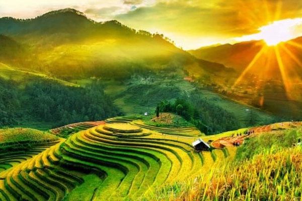 Top 12 Bài Văn Tả Cảnh Đẹp Đất Nước Hay Nhất - Hoatieu.Vn