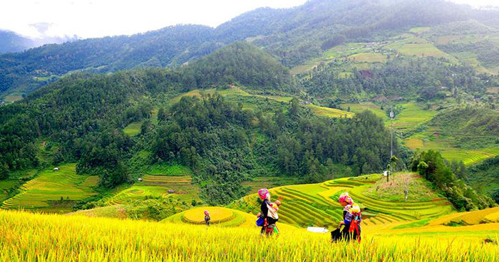Top 10 bài kể những điều em biết về nông thôn hay nhất - HoaTieu.vn