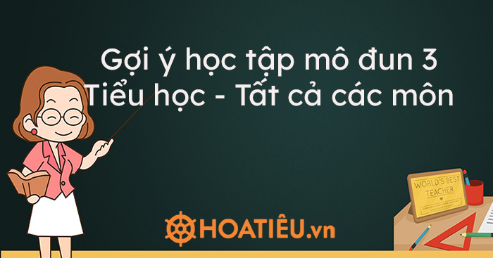 Gợi Y Học Tập Mo đun 3 Tiểu Học Tất Cả Cac Mon Hoatieu Vn