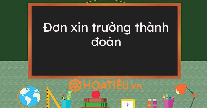 Mẫu đơn xin trưởng thành đoàn của cá nhân - Hoatieu.vn