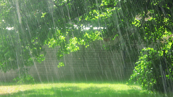 Tả cơn mưa rào mùa hạ lớp 6
