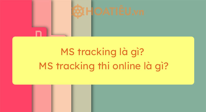 MS tracking là gì? MS tracking thi online là gì? - Trường Tiểu học Thủ Lệ