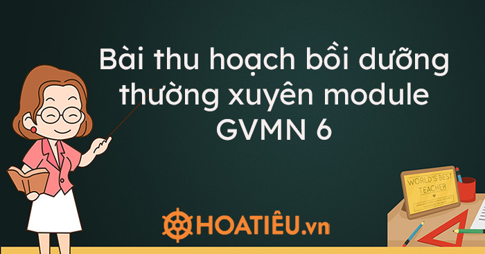 Bài thu hoạch bồi dưỡng thường xuyên module GVMN 6