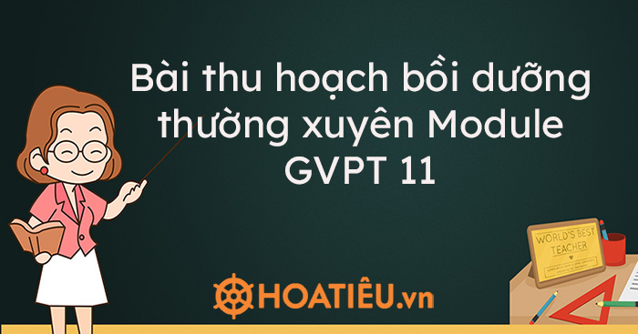Bài thu hoạch bồi dưỡng thường xuyên Module GVPT 11