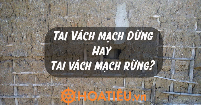 Tai vách mạch dừng hay Tai vách mạch rừng, từ nào đúng chính tả?