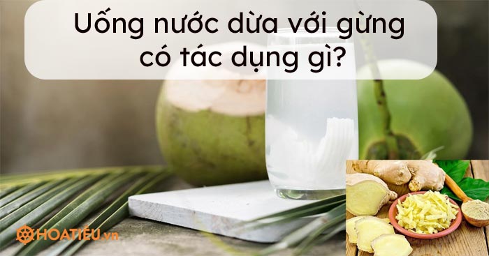 Có thể thay đổi tỉ lệ nước dừa và gừng khi nấu không?
