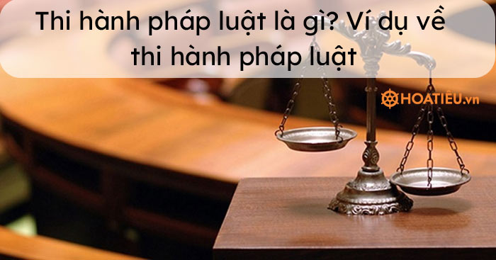 Thi Hành Pháp Luật Là Gì Ví Dụ Về Thi Hành Pháp Luật Hoatieuvn 