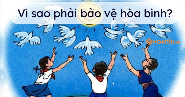 Vì sao phải bảo vệ hòa bình? - Vì sao cần phải bảo vệ hòa bình?