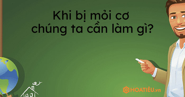 Khi bị mỏi cơ chúng ta cần làm gì? - Khi bị mỏi cơ cần làm gì để cơ hết ...