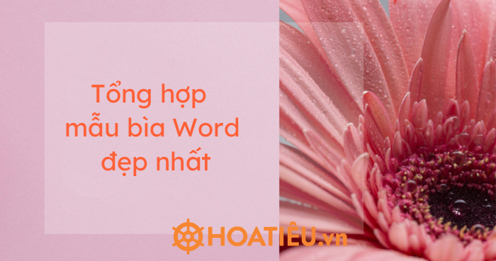 Tổng hợp mẫu bìa Word đẹp nhất - Trường Tiểu học Thủ Lệ