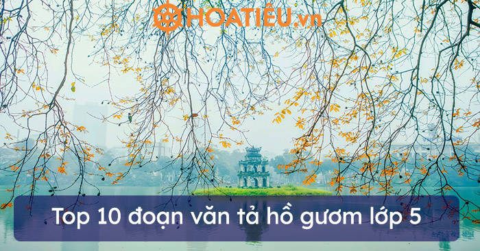 Top 10 đoạn văn tả Hồ Gươm lớp 5 siêu hay - HoaTieu.vn