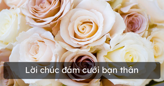 Lời chúc đám cưới: \