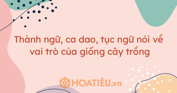 Thành Ngữ, Ca Dao, Tục Ngữ Nói Về Vai Trò Của Giống Cây Trồng