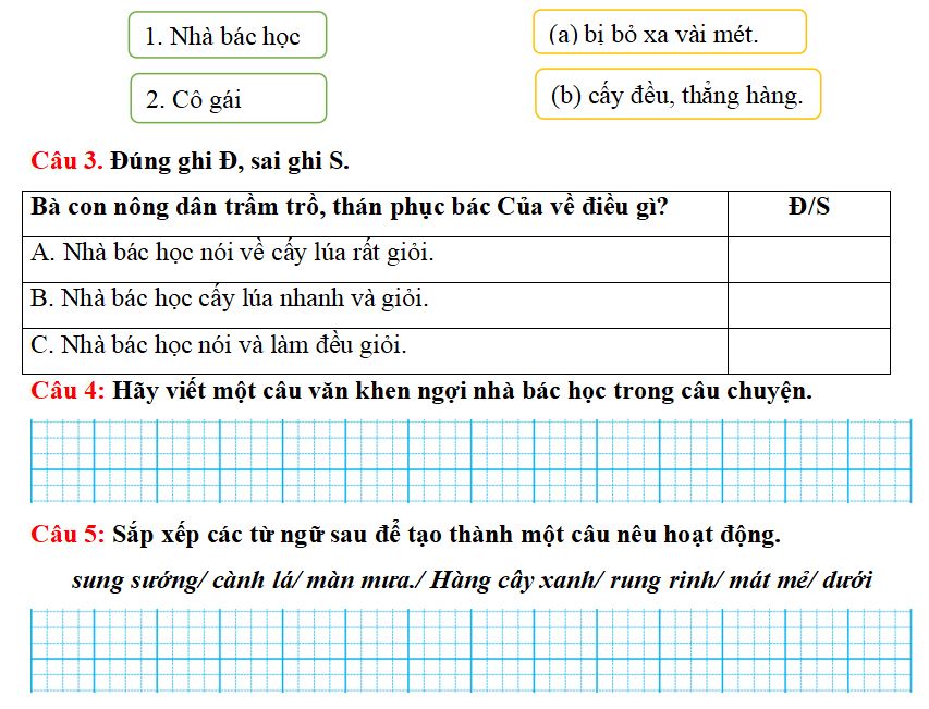 Đề thi giữa kì 2 lớp 2 môn Tiếng Việt sách Kết nối tri thức với cuộc sống
