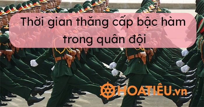 Quân đội Việt Nam trong lễ diễu binh