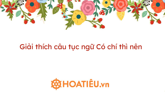 Top 8 bài giải thích câu tục ngữ Có chí thì nên - HoaTieu.vn