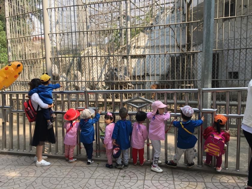 Photo of Top 6 Viết 4 – 5 câu kể về một buổi đi chơi cùng người thân hoặc thầy cô, bạn bè