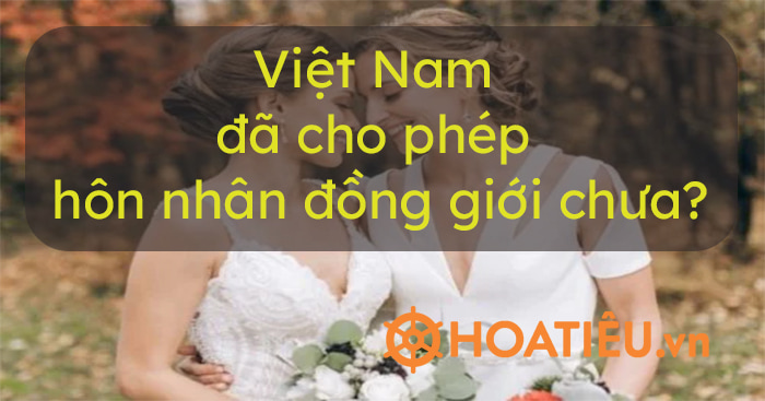 Xã hội Việt Nam ngày càng cởi mở hơn về hôn nhân đồng giới