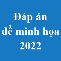 Đáp án đề minh họa 2022 tất cả các môn