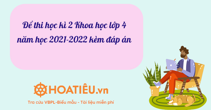 Đề thi học kì 2 Khoa học lớp 4 năm học 2021-2022 kèm đáp án - HoaTieu.vn