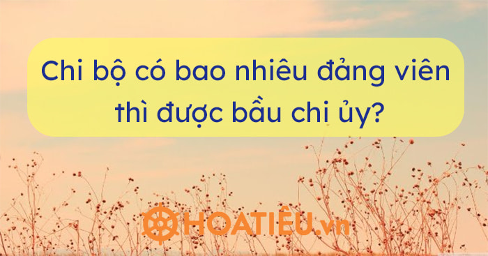 Việc bầu chi ủy tại đại hội chi bộ thi hành Điều lệ Đảng do Ban Chấp hành Trung ương ban hành.