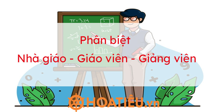 Phân biệt nhà giáo, giáo viên, giảng viên 2023 - HoaTieu.vn